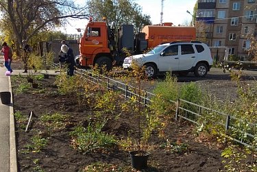 Осталось высадить большую ель